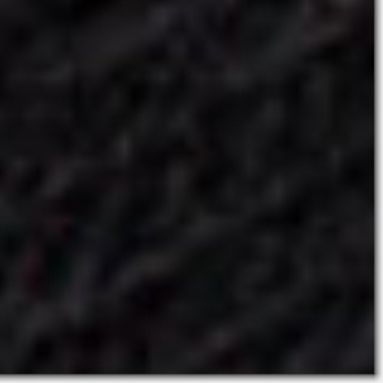 Aeyde algodón egipcio negro jamie accesorio 4L04V305